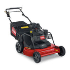 30 in. (76 cm) TurfMaster® HDX 224 cc Model: 22235