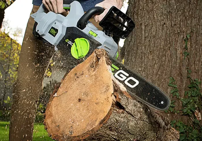 Ego Chainsaw 2